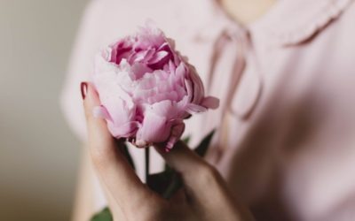 Cómo cuidar las flores en casa